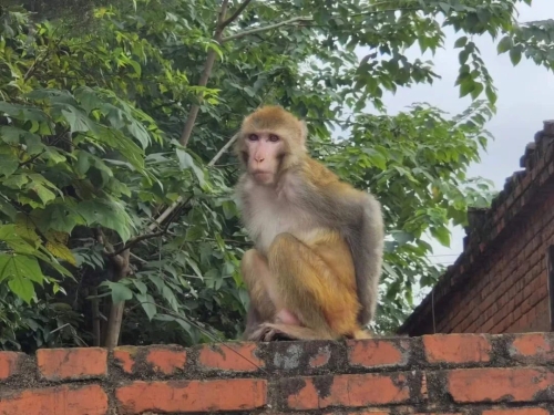 1662343989946033658.jpg 640.jpg